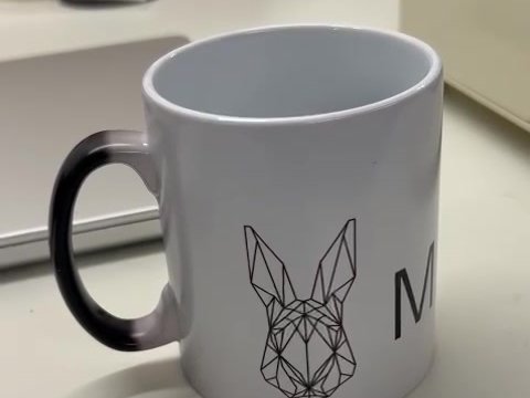 Zaubertasse als Kongress-Geschenk der MAGICON III